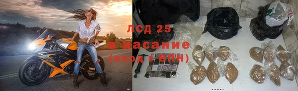ALPHA PVP Лагань