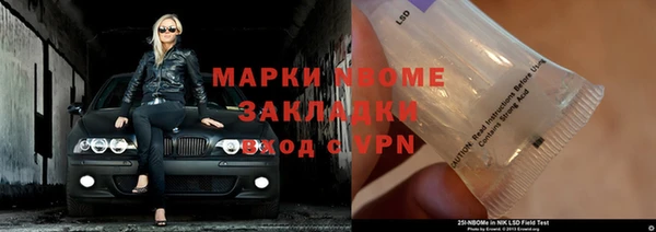 крисы Куйбышев