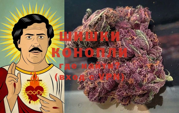 крисы Куйбышев