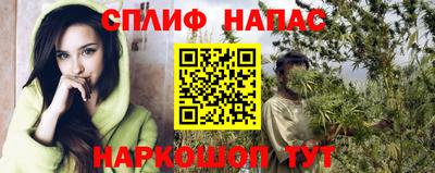 шишки Балашиха