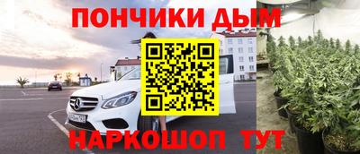 шишки Балашиха