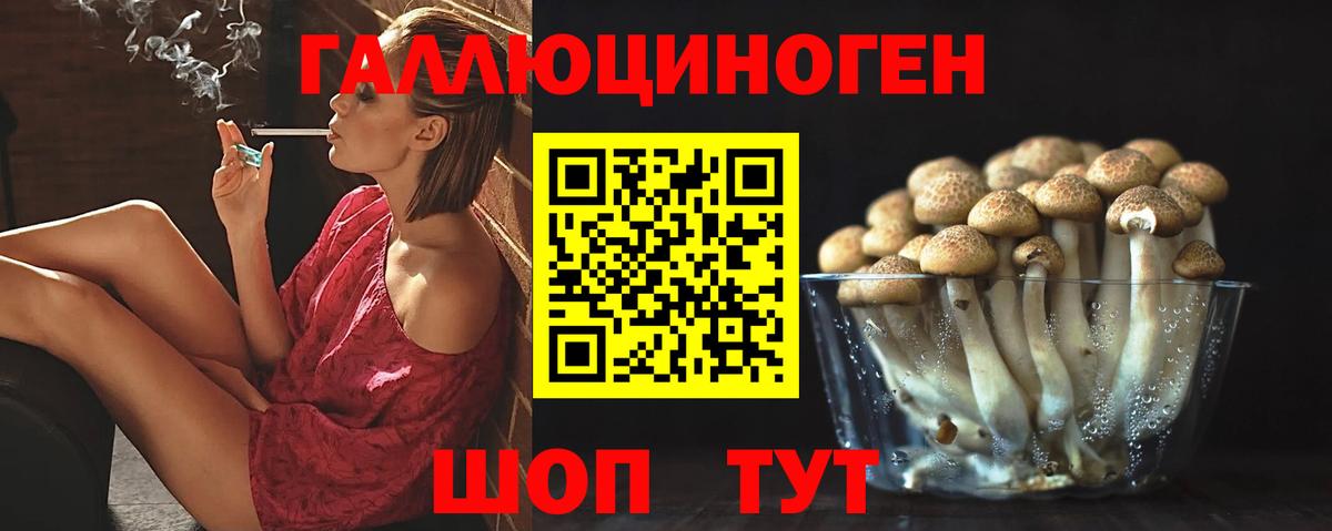 Назрань  Галлюциногенные грибы Magic Shrooms  Вход с VPN  Галлюциногенные грибы Psilocybine cubensis 